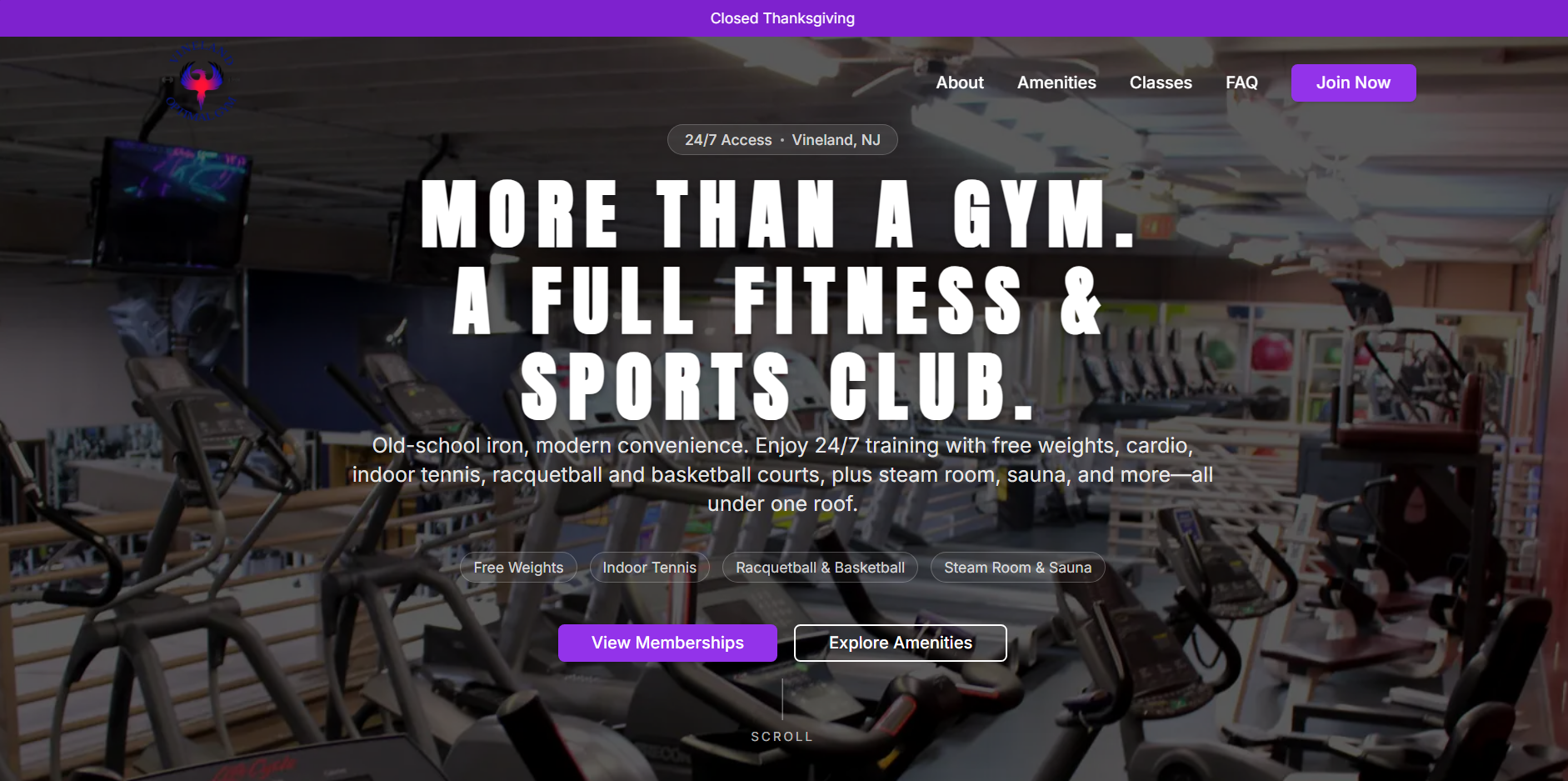 Fitness Gym and Sport Center Website
